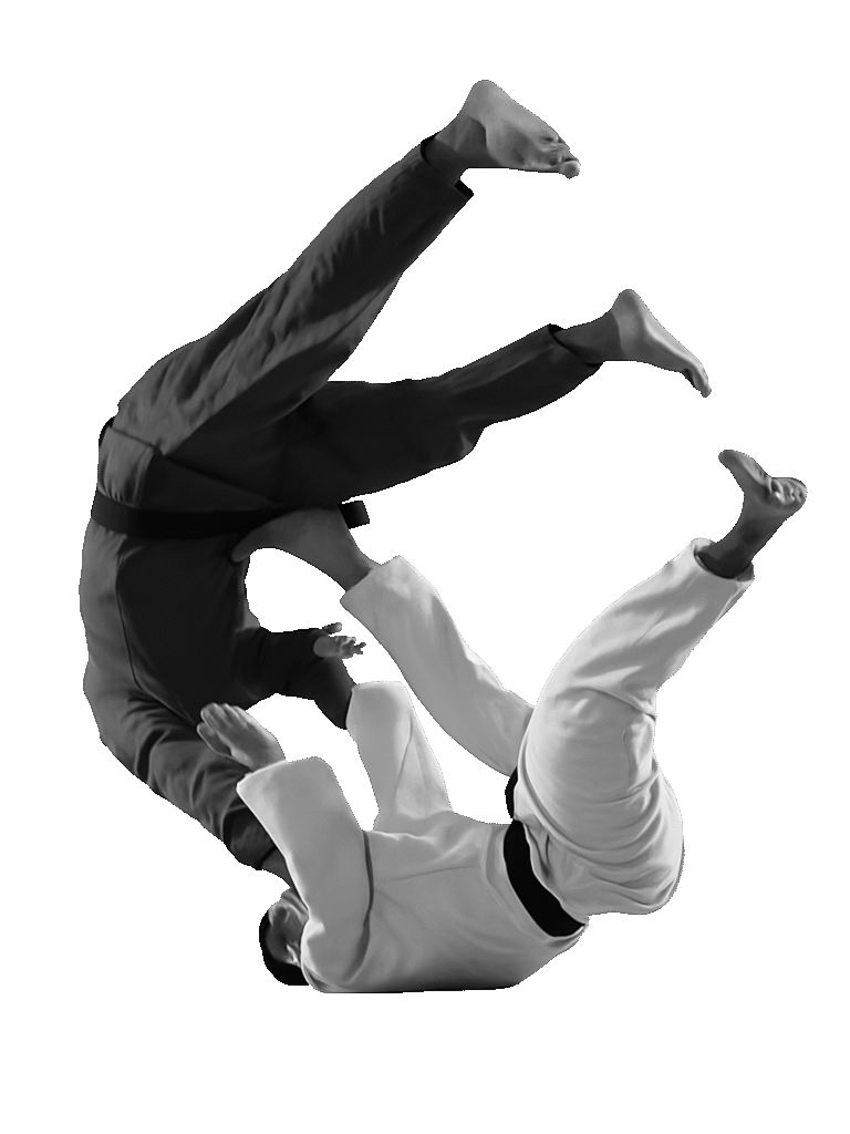 Brazilian Jiu Jitsu
